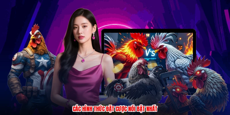 Các hình thức đặt cược nổi bật nhất