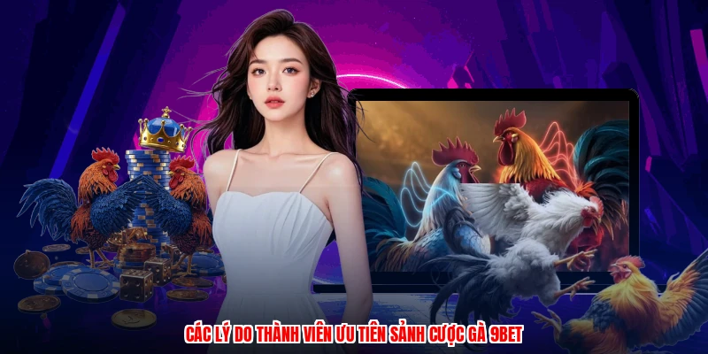 Các lý do thành viên ưu tiên sảnh cược gà 9BET