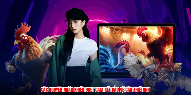 Các nguyên nhân khiến 9BET cam kết bảo vệ cần thiếtanh
