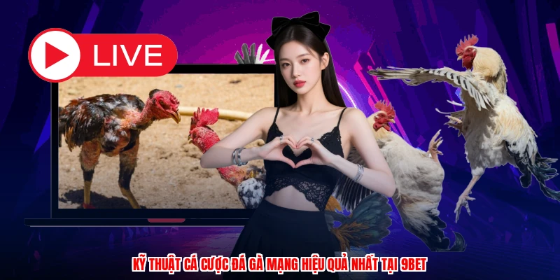 Kỹ Thuật Cá Cược Đá Gà Mạng Hiệu Quả Nhất Tại 9BET