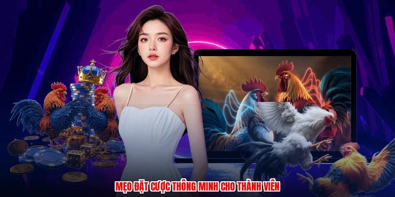 Mẹo đặt cược thông minh cho thành viên