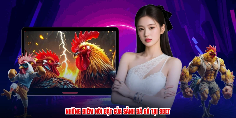Những điểm nổi bật của sảnh đá gà tại 9BET