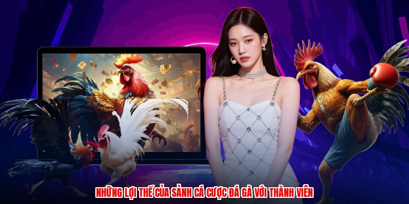 Những lợi thế của sảnh cá cược đá gà với thành viên