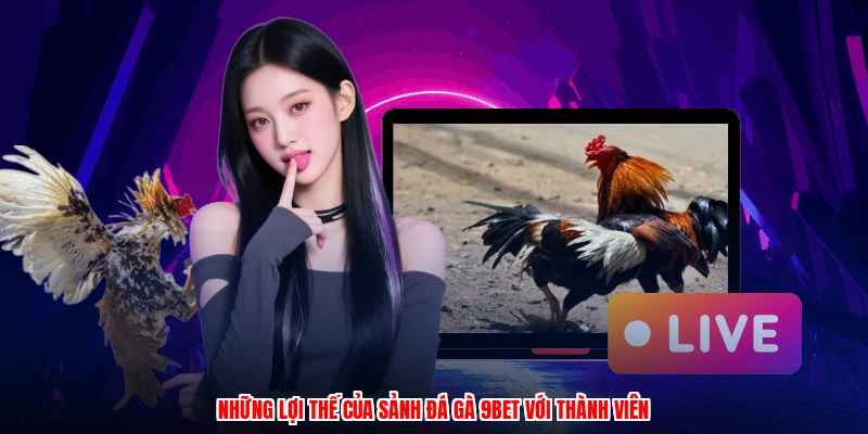 Những lợi thế của sảnh đá gà 9BET với thành viên