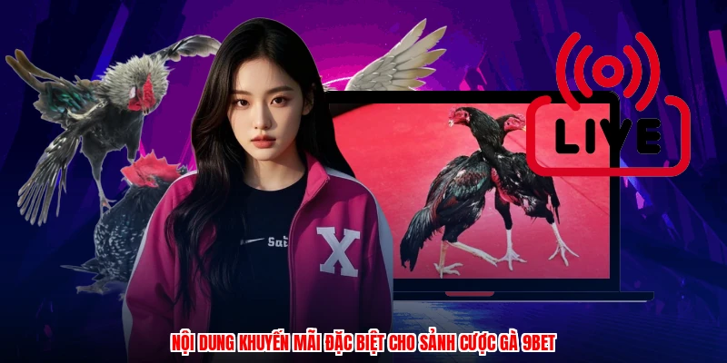 Nội dung khuyến mãi đặc biệt cho sảnh cược gà 9BET