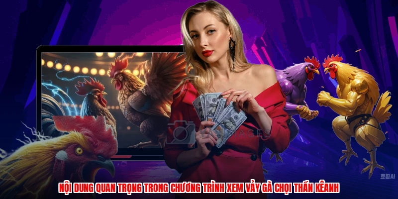 Nội dung quan trọng trong chương trình xem vảy gà chọi thần kêanh