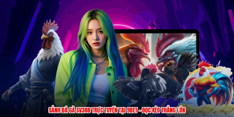 Sảnh Đá Gà SV388 Trực Tuyến Tại 9BET - Đọc Kèo Thắng Lớn