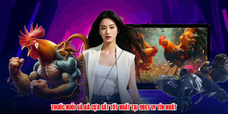Thuốc Nuôi Gà Đá Cựa Sắt Tốt Nhất Tại 9BET Uy Tín Nhất