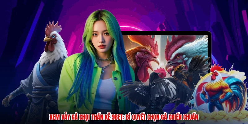Xem Vảy Gà Chọi Thần Kê 9BET: Bí Quyết Chọn Gà Chiến Chuẩn