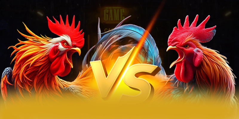 Dịch vụ chăm sóc khách hàng tại 8XBET