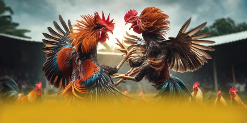 Đánh giá từ game thủ về FB88