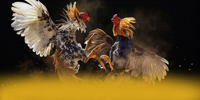 Chương trình thưởng giá trị lớn dành cho tất cả người chơi tại 8XBET