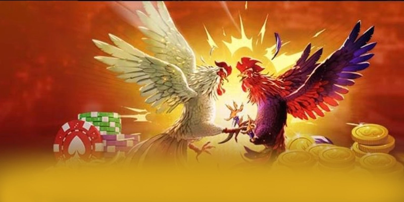 Bảo mật thông tin người dùng tại 8XBET