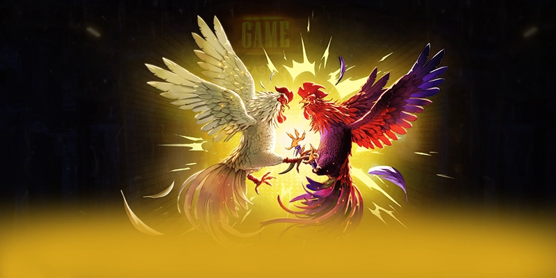 FB88 - Trang game cung cấp hàng trăm tựa game đẳng cấp 2026